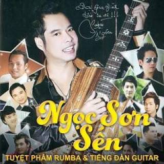 Sến - Tuyệt Phẩm Rumba & Tiếng Đàn Guitar (2013)
