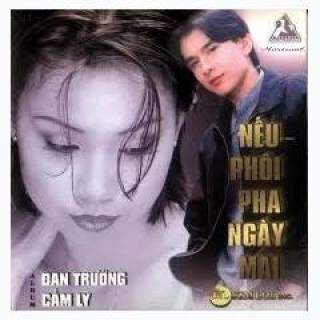 Nếu Phôi Pha Ngày Mai 