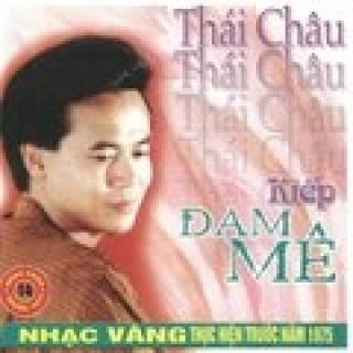 Nhạc Vàng Vol 14- Kiếp Đam Mê