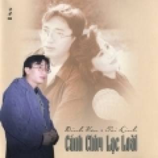 Cánh Chim Lạc Loài 