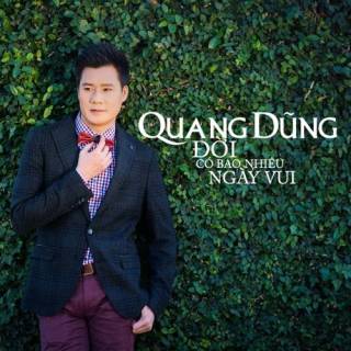 Đời Có Bao Nhiêu Ngày Vui (Single)