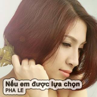 Nếu em được lựa chọn (single)