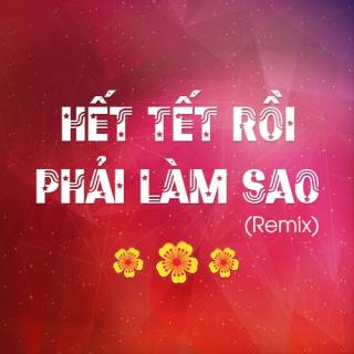 Hết Tết Rồi, Phải Làm Sao (Remix) 