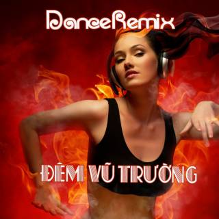 Đêm Vũ Trường (Dance Remix)