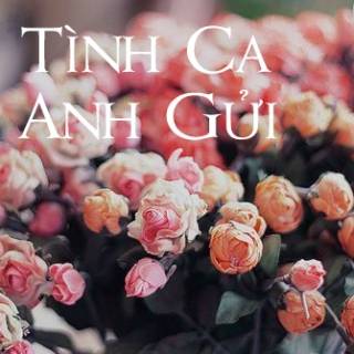 Tình Ca Anh Gửi