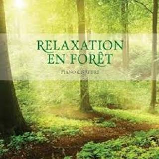 Relaxation En Foret