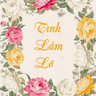 Tình Lầm Lỡ