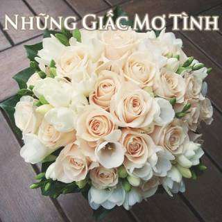 Những Giấc Mơ Tình