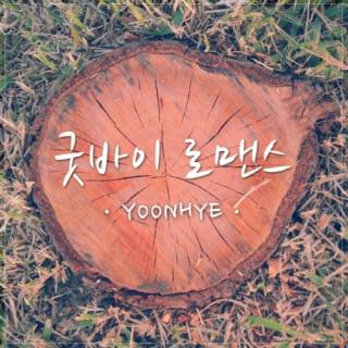 Goodbye Romance (Single)