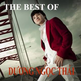 The Best Of Dương Ngọc Thái