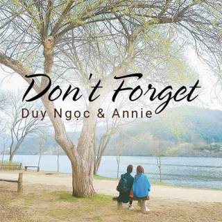 Don't Forget (Single)