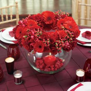 Nhóm Ánh Sao Đêm