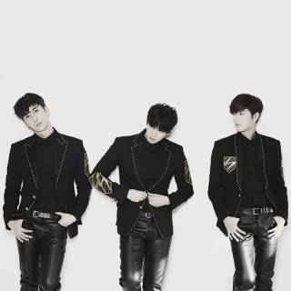 Double S 301 (SS301)