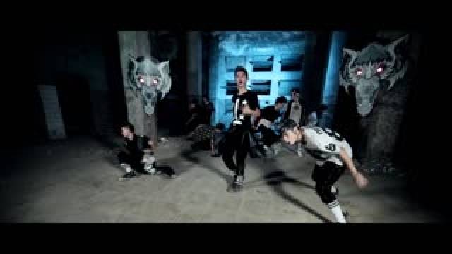 Wolf (St.319 Dance Cover)