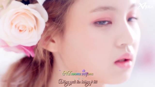 Rose (Vietsub)