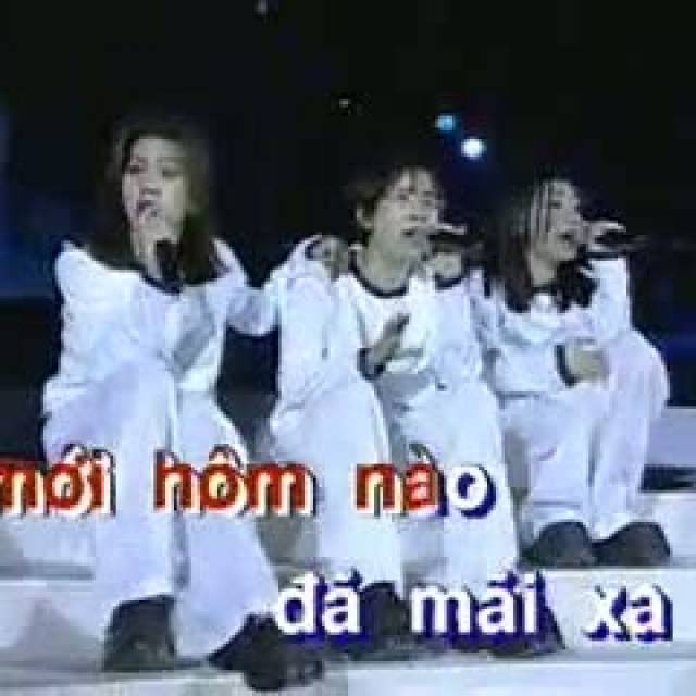 Vô tình - 3 con mèo