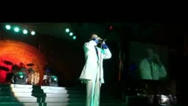 Cánh Bướm Xuân ( Live Bar Trống Đồng )