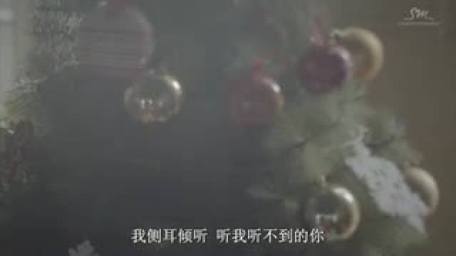 Miracles In December (Chinese Ver.)