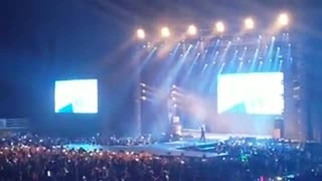 Lonely (2NE1 Galaxy Stage Vietnam 2014 - Fancam) 
