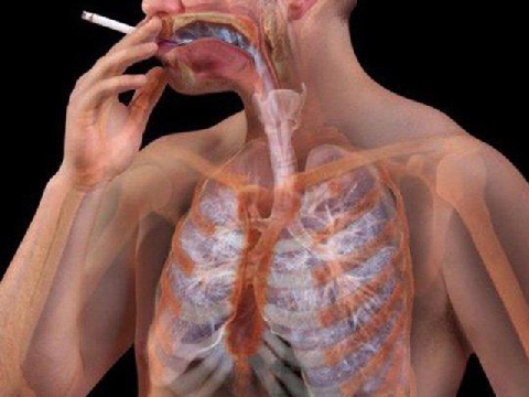 Hóa chất trong thuốc lá tàn phá từng ''ngóc ngách'' trong cơ thể ra sao?
