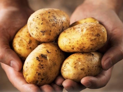 Có cần gọt vỏ khoai tây trước khi nấu không?