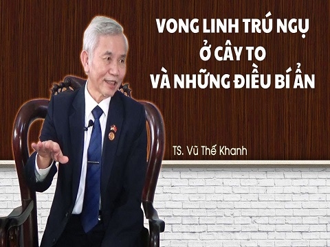 Vong linh trú ngụ ở cây to và những hiện tượng bí ẩn