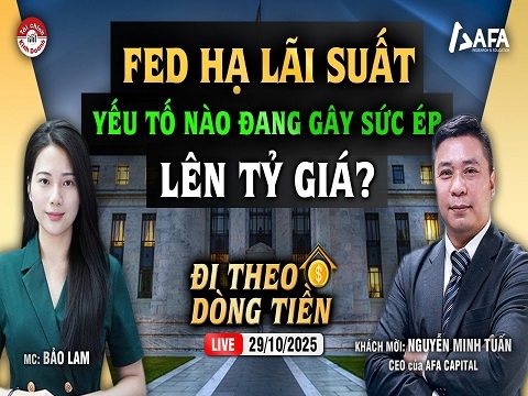 FED HẠ LÃI SUẤT, YẾU TỐ NÀO ĐANG GÂY SỨC ÉP LÊN TỶ GIÁ?