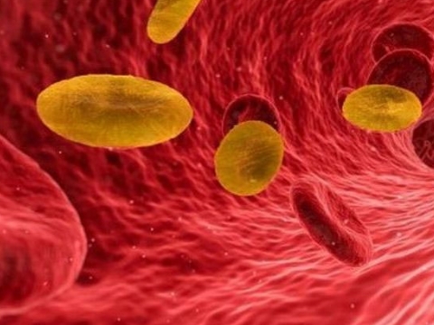 Máu vàng – nhóm màu kỳ lạ và quý hiếm nhất thế giới chỉ vài chục người có