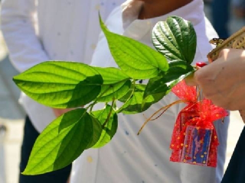  TỔNG HỢP: ĐI LỄ ĐẦU NĂM - XIN LỘC ĐẦU NĂM cần phải biết những điều này!