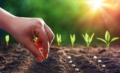 NHÂN QUẢ được hình thành thế nào? Là do bên trong hay bên ngoài mỗi con người tác động?