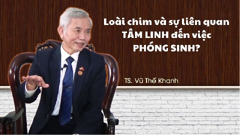 Loài chim và sự liên quan TÂM LINH đến việc PHÓNG SINH thế nào?