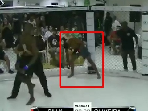 Võ sĩ MMA bị đánh đến bất tỉnh ở tư thế đứng